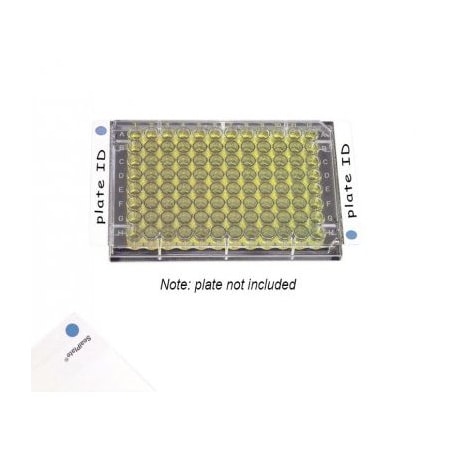 Excel Scientific SealPlate ColorTab Film, Non-Sterile, Blue, 100/pk, 100PK 202527B